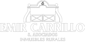 Emir Carrillo & Asoc.